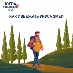 Как избежать укуса змеи
