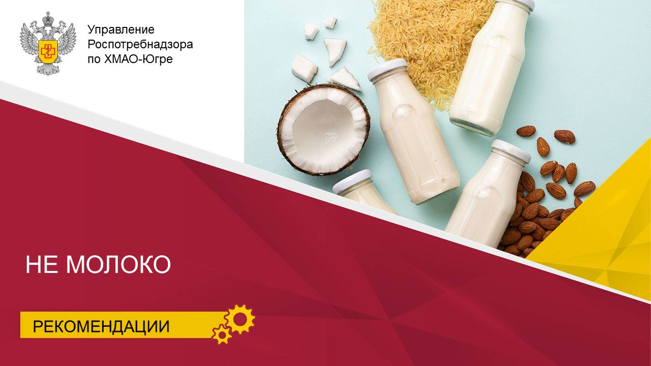 Польза и вред растительного молока: что нужно знать Польза и вред растительного молока: что нужно знать