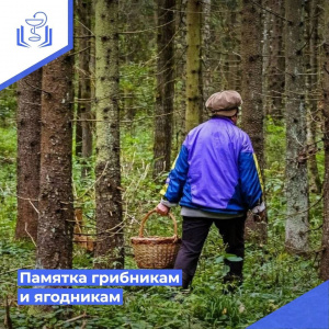 Памятка грибникам и ягодникам