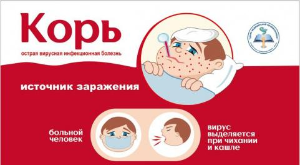 Подчищающая иммунизация против кори