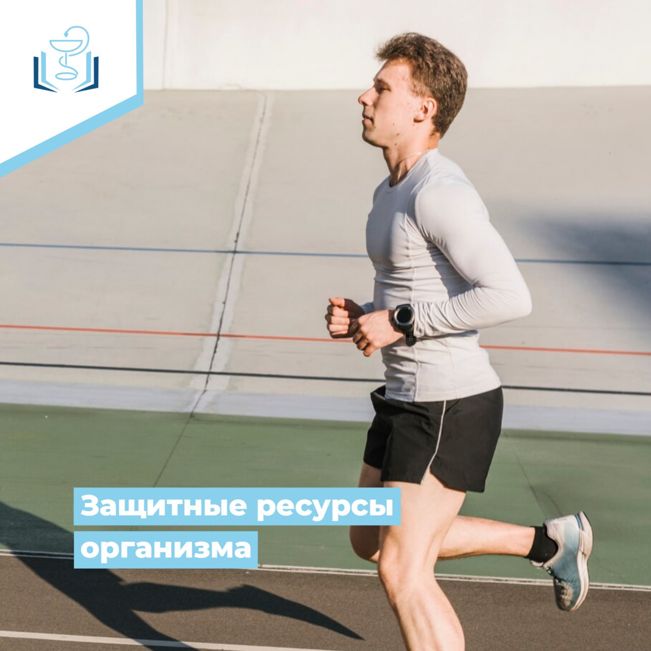 Защитные ресурсы организма Защитные ресурсы организма