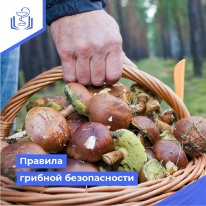 Правила грибной безопасности