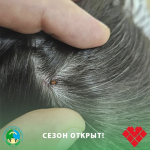 Сезон открыт!