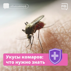 Укусы комаров: что нужно знать