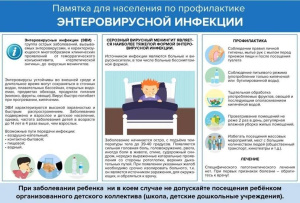 Памятка для населения по профилактике энтеровирусной инфекции