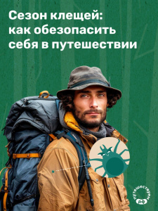 Сезон клещей: как обезопасить себя в путешествии