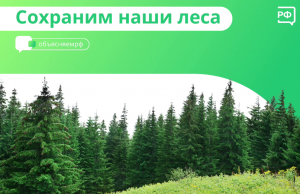 Ежегодно в России горят леса, а причиной пожара нередко становятся халатность и неосторожность человека