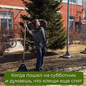 Как защититься от клещей: 5 простых правил