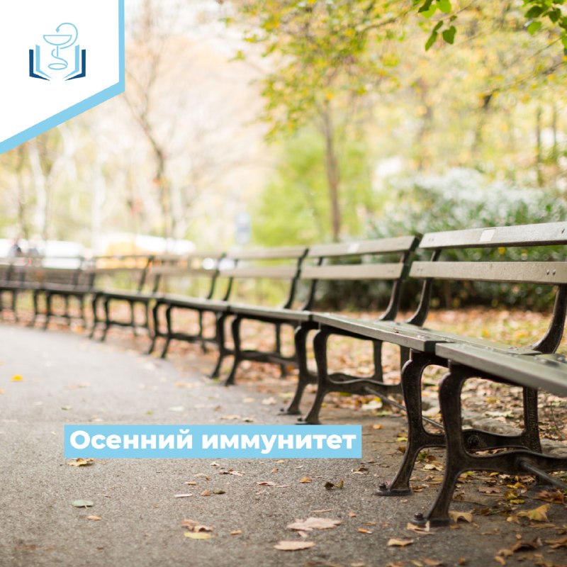 Осенний иммунитет Осенний иммунитет