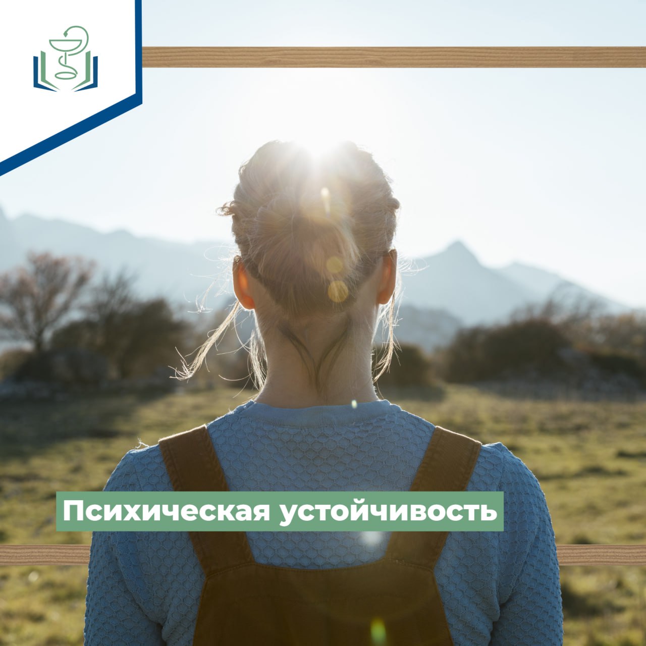 Психическая устойчивость Психическая устойчивость