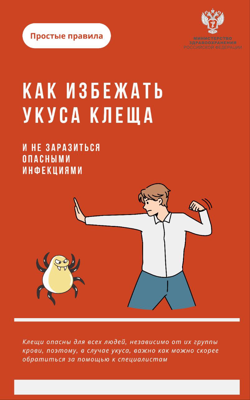 Как избежать укуса клеща Как избежать укуса клеща
