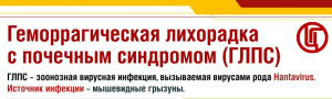 Внимание! Геморрагическая лихорадка с почечным синдромом