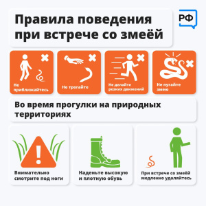 Осторожно: змеи! 