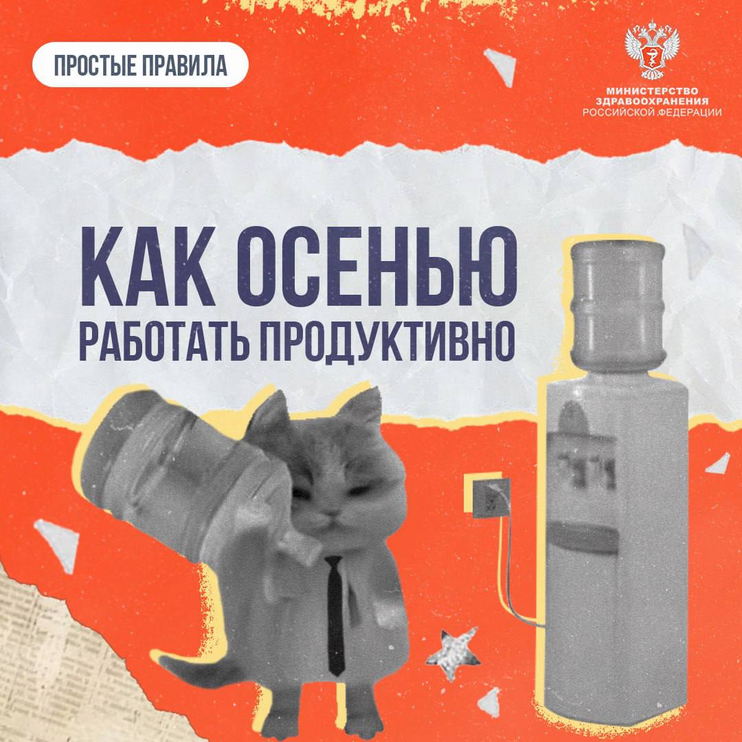 Как осенью работать продуктивно Как осенью работать продуктивно