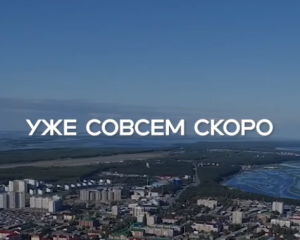 Насекомые вышли на прогулку