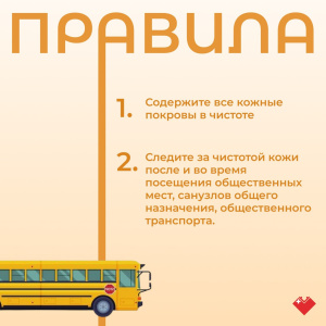 Правила гигиены