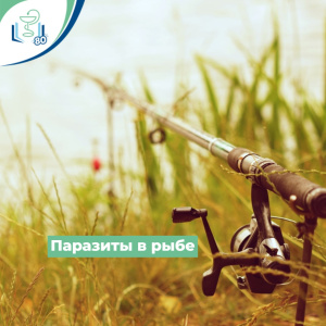 Паразиты в рыбе