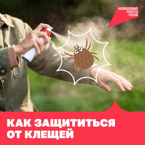 Как избавиться от клещей