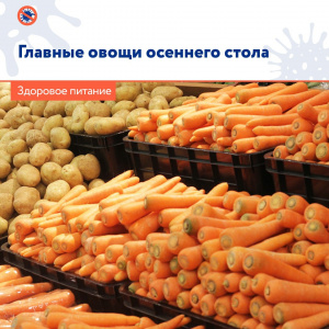 Главные овощи осеннего стола