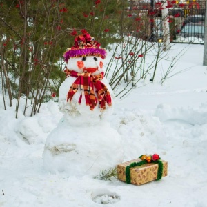 Конкурс снеговиков