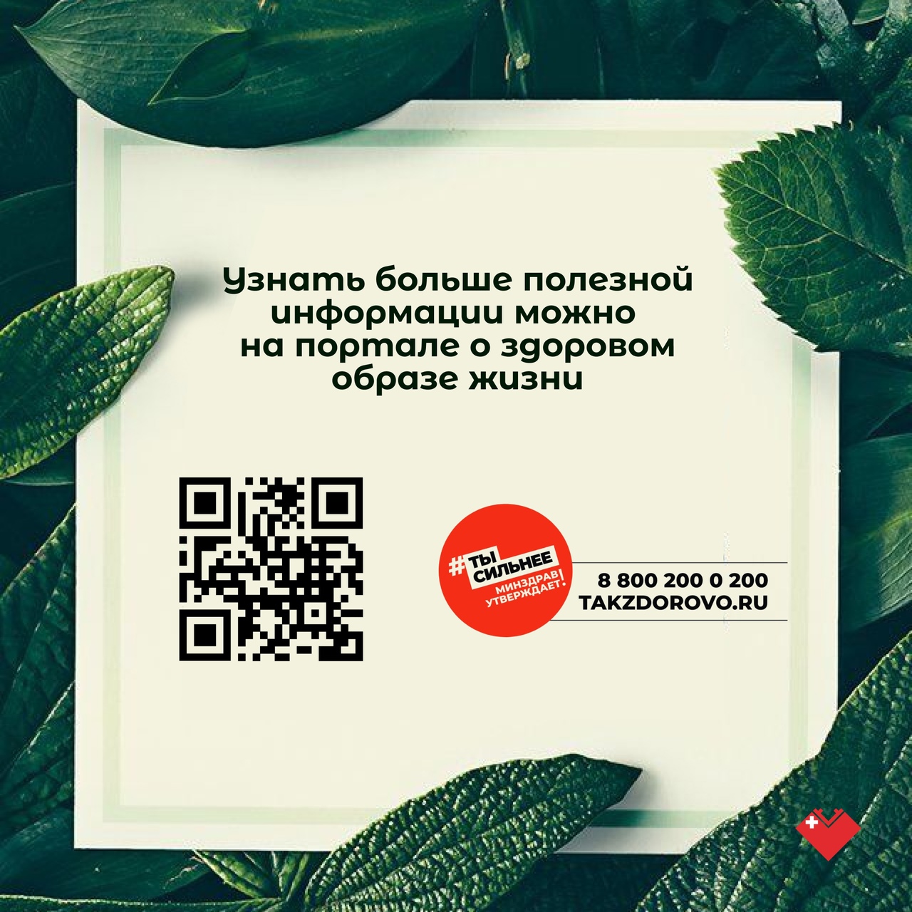 Восстановление организма после отказа от курения Восстановление организма после отказа от курения