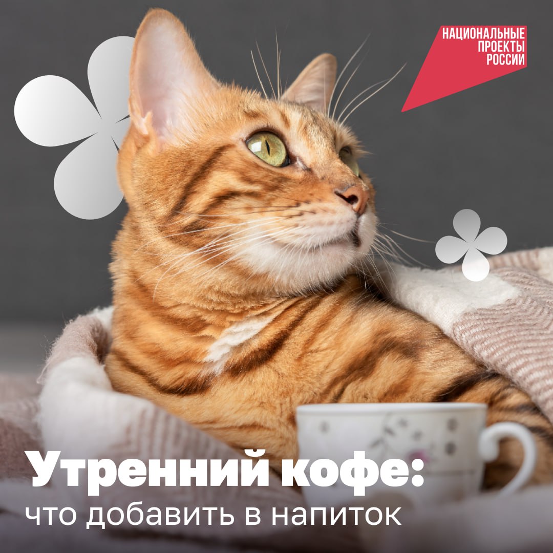 Утренний кофе: что добавить в напиток Утренний кофе: что добавить в напиток