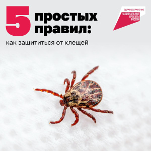 Внимание: сезон клещей начался!