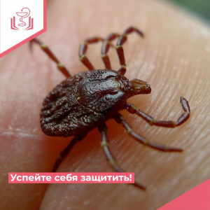 Успейте себя защитить!