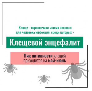Клещевой энцефалит