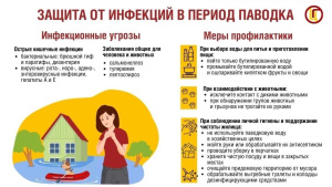 О мерах профилактики инфекционных заболеваний в период весеннего паводка