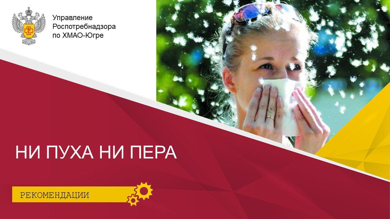 Ни пуха ни пера Ни пуха ни пера
