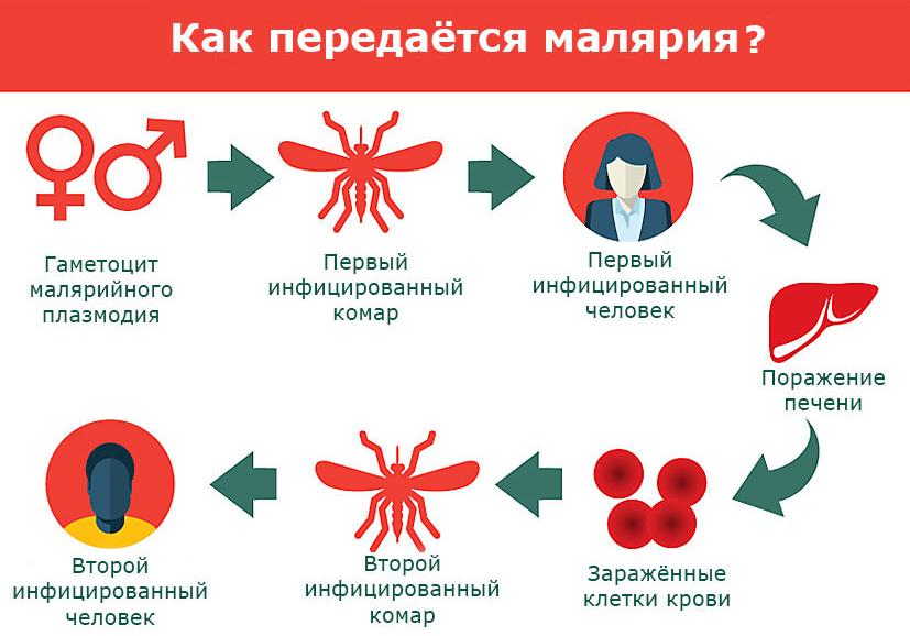 Вcемирный день борьбы с малярии Вcемирный день борьбы с малярии