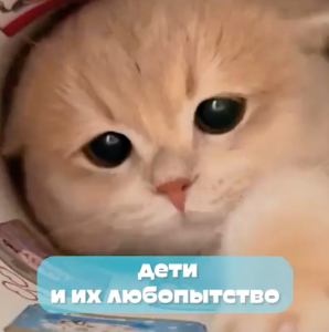 В каждом маленьком ребёнке...