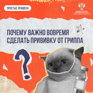 Почему важно вовремя сделать прививку от гриппа?