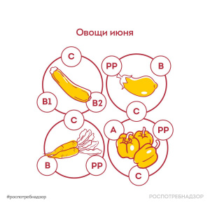 Овощи июня
