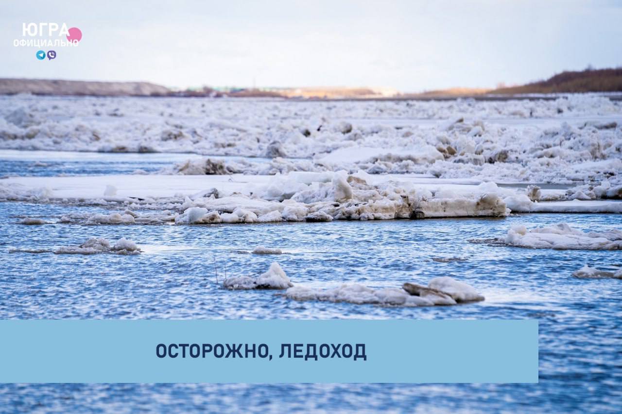 Осторожно, ледоход Осторожно, ледоход