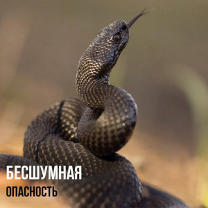 Бесшумная опасность
