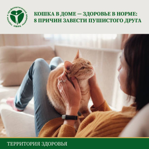 Кошка в доме - здоровье в норме: 8 причин завести пушистого друга