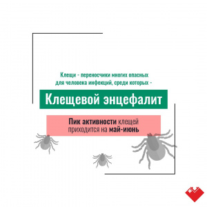 Клещевой энцефалит