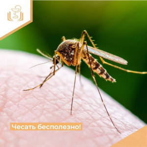 Чесать бесполезно