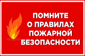 Порядок использования открытого огня и разведения костров на землях сельскохозяйственного назначения, землях запаса и землях населенных пунктов