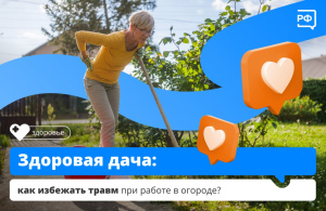 Здоровая дача: как избежать травм при работе в огороде?