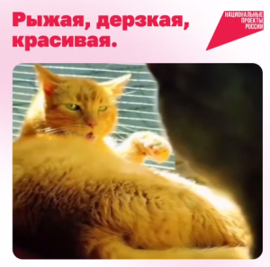 Рыжая, дерзкая, красивая