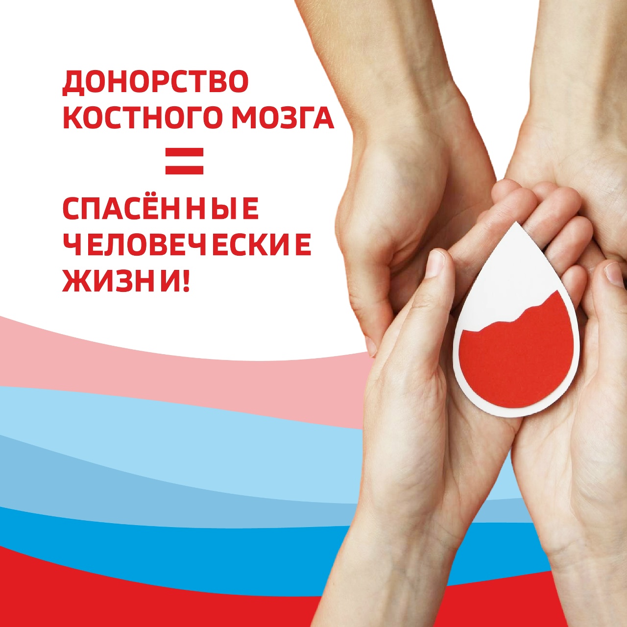 Подарить шанс на жизнь проще, чем кажется Подарить шанс на жизнь проще, чем кажется