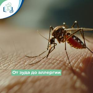 Укусы насекомых и аллергические реакции