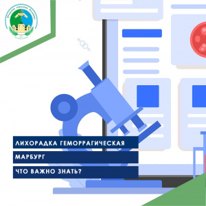 Лихорадка геморрагическая марбург, что важно знать?