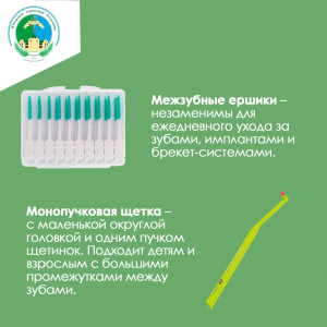 Здоровье зубов и полости рта