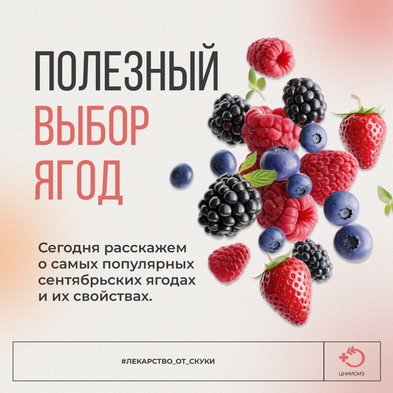 Полезный выбор ягод Полезный выбор ягод