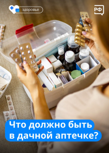 Что должно быть в дачной аптечке?