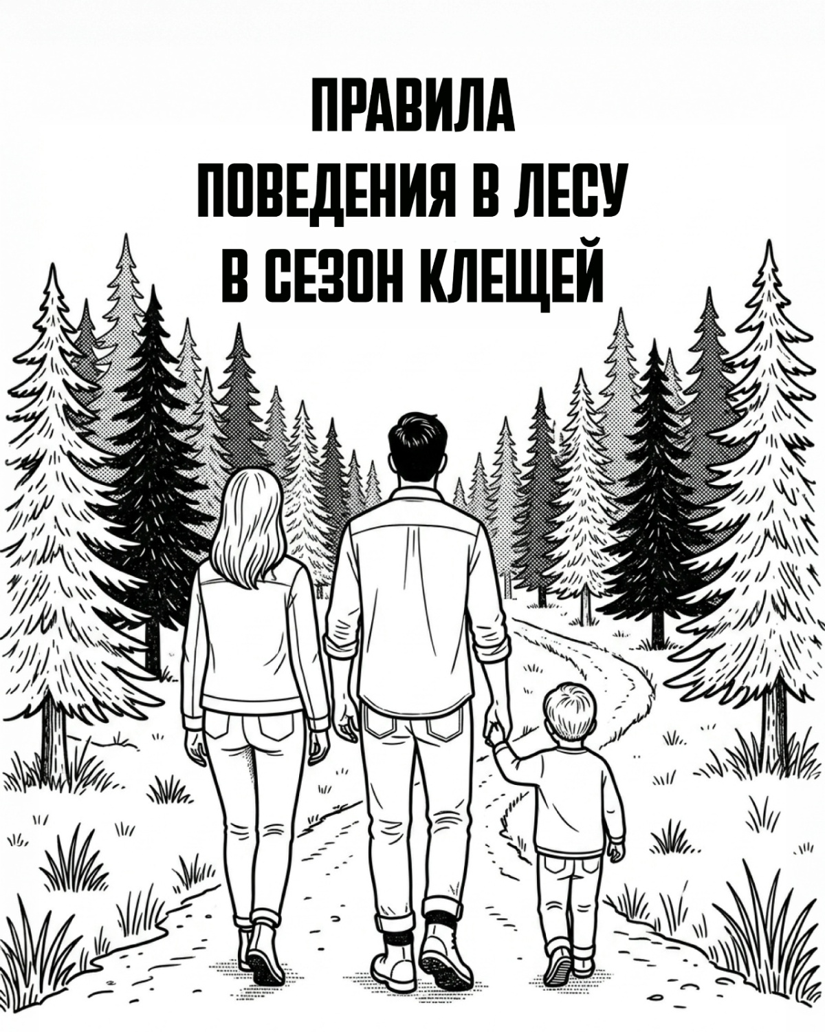 Правила поведения в лесу в сезон клещей Правила поведения в лесу в сезон клещей